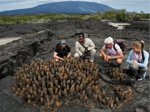 4-Day Northern Expedition | Galapagos Islands aboard Galapagos Legend